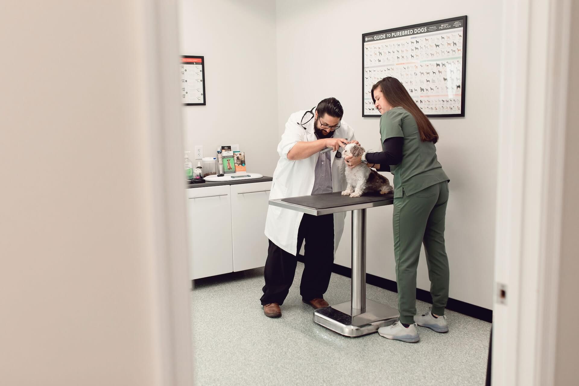 Rising Sun Veterinary Hospital